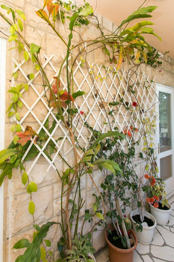 Yellow Room Guesthouse Ντουμπρόβνικ Εξωτερικό φωτογραφία